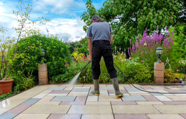 Best Driveway Pressure Washing  in Apple Mountain Lake, VA