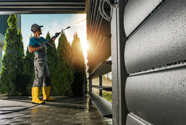 Best Soft Washing  in Apple Mountain Lake, VA